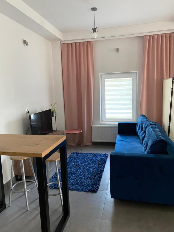 Apartamenty Pod Wierzbami Dwikozy Εξωτερικό φωτογραφία