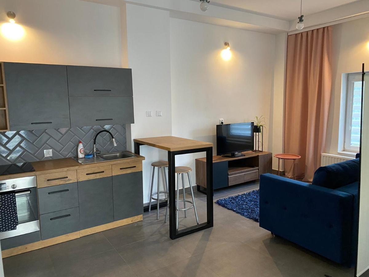 Apartamenty Pod Wierzbami Dwikozy Εξωτερικό φωτογραφία